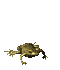 Giantfrog