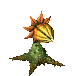 Cannibal Plant