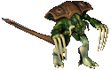 Claw Turtle