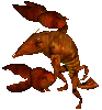 Giant Crayfish