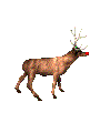 Rudolph