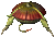 Tentocle